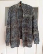 Roberto Sarto kleurrijk vest maat 44, Blauw, Maat 42/44 (L), Ophalen of Verzenden, Gedragen