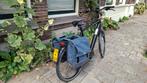 Sparta E-Speed (speed pedelec), Fietsen en Brommers, Elektrische fietsen, Ophalen, Gebruikt, 50 km per accu of meer, Sparta