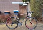Specialized Roubaix pro volledig Dura ace
- Roval Echa, Fietsen en Brommers, Carbon, Zo goed als nieuw, Meer dan 20 versnellingen