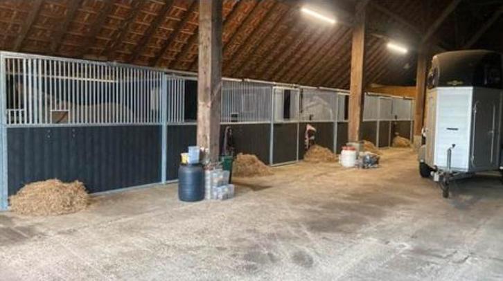 Stalling aangeboden op fijne plek, Dieren en Toebehoren, Stalling en Weidegang, Stalling