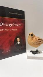 Flavel, John; Overgeleverd om onze zonden, Boeken, Godsdienst en Theologie, Ophalen of Verzenden, Gelezen, Christendom | Protestants