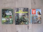 Tuin en Kamerplantenboeken, Ophalen, Gelezen, Kamerplanten