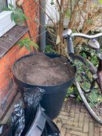 Tuinaarde in pot, Ophalen, Tuinaarde