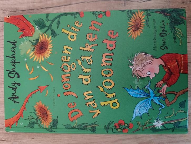 Andy Shepherd - De jongen die van draken droomde, Boeken, Kinderboeken | Jeugd | 10 tot 12 jaar, Zo goed als nieuw, Ophalen of Verzenden