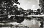 Apeldoorn- -Oranjepark., Verzamelen, Ansichtkaarten | Nederland, Verzenden, 1940 tot 1960, Ongelopen, Gelderland