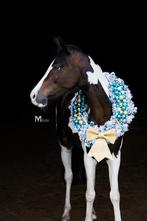 Kerstkrans voor a, b en c pony, Diversen, Ophalen of Verzenden, Nieuw