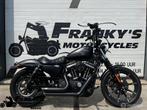 Harley Davidson XL 883N Sportster Iron, Chopper, 883 cc, Meer dan 35 kW, ABS