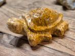 Gefossiliseerd koraal schildpad carving, Dieren en Toebehoren, Schildpad, 0 tot 2 jaar