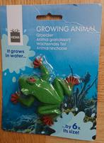 groeiende kikker (HEMA) - NIEUW, Ophalen, Nieuw, Knutselen