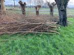 Gratis wilgentakken / wilgen tenen