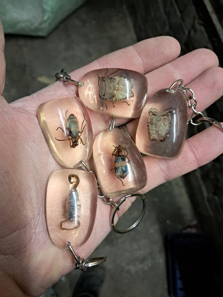 Unieke handgemaakte epoxy sleutelhangers met insecten –, Verzamelen, Dierenverzamelingen, Ophalen of Verzenden, Gebruikt, Insect