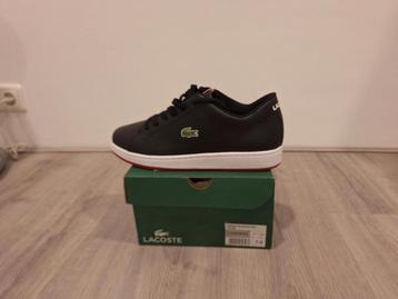 Lacoste Carnaby maat 41 Nieuw! beschikbaar voor biedingen