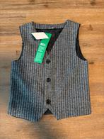 Gilet nieuw met kaartje, maat 110/116, Ophalen of Verzenden, Nieuw, Jongen, Overige typen