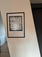 Mooie poster in lijst, Ophalen, Zo goed als nieuw, Foto of Poster
