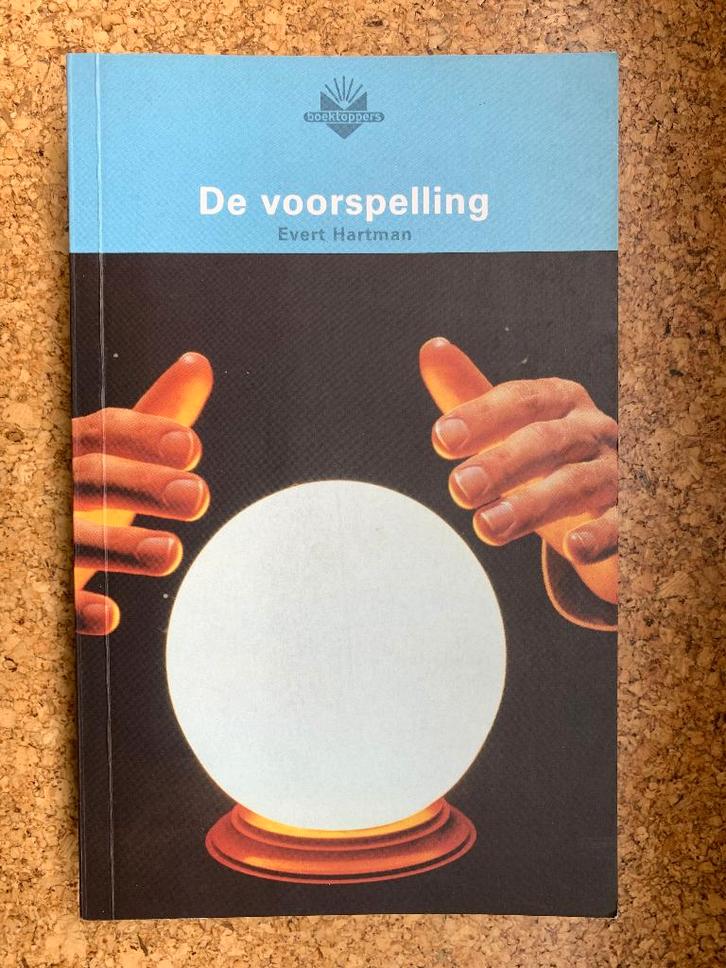Evert Hartman - De voorspelling, Boeken, Literatuur, Zo goed als nieuw, Ophalen of Verzenden