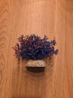 Gekleurd plantje aquarium, Dieren en Toebehoren, Vissen | Aquaria en Toebehoren, Ophalen, Zo goed als nieuw