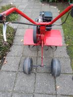 Tuinfrees, Ophalen, Gebruikt, 50 cm of meer