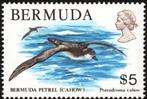 BERMUDA 12 - Dieren: vogels (stormvogel), Verzenden, Postfris, Dier of Natuur