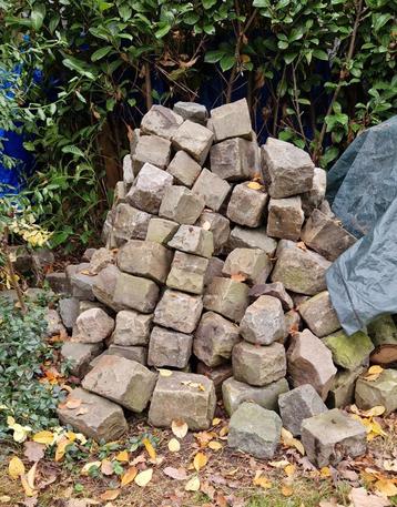 Kinderkoppen beschikbaar voor biedingen