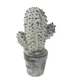 Partij woonaccessoires - grijze keramieken cactussen 21cm