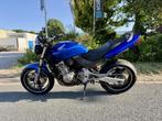 Honda CB 600 FS Hornet 97PK Laser, Bedrijf, Meer dan 35 kW, Toermotor, 599 cc