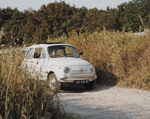 Fiat 500 L oldtimer trouwauto, gala auto of dagje toeren, Diensten en Vakmensen, Verhuur | Auto en Motor, Personenauto, Trouwauto