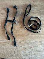 Kattentuigje voor kleine katten, kittens, konijnen, Ophalen of Verzenden, Zo goed als nieuw