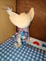 Lieve Chihuahua knuffel met kleren 26 cm groot, Ophalen of Verzenden