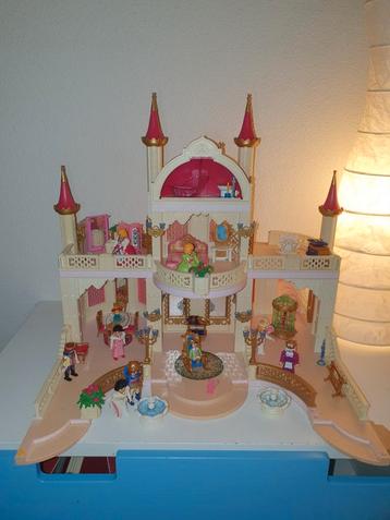 Playmobil prinsessenkasteel en meer! 
