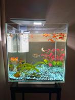 SuperFish Qubiq 30 Pro – Modern 30L Design Aquarium (Wit), Dieren en Toebehoren, Vissen | Aquaria en Toebehoren, Ophalen, Zo goed als nieuw