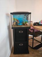 Maand oude aquarium superfish 50 met chihiros lamp, Dieren en Toebehoren, Vissen | Aquaria en Toebehoren, Ophalen, Zo goed als nieuw