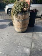 Mooie Bordeaux wijnvat eiken, Tuin en Terras, Ophalen, Gebruikt, Rond, Hout