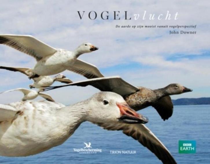 Prachtig vogelboek "Vogelvlucht" te koop!, Boeken, Natuur, Zo goed als nieuw, Vogels, Ophalen of Verzenden