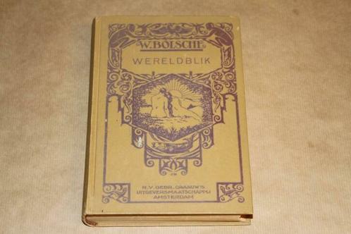 Wereldblik - W. Bolsche - 1927, Antiek en Kunst, Antiek | Boeken en Bijbels, Ophalen of Verzenden