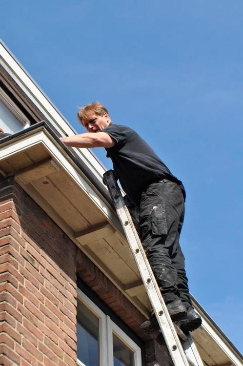 Uw dakgoten- dakkapel-zonnepanelen laten reinigen, Diensten en Vakmensen, Schoonmakers en Glazenwassers, Schoonmaken woning