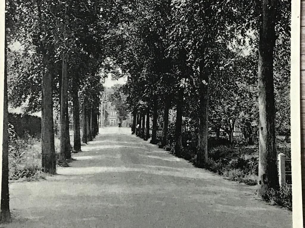 Zuidland Steenenweg ca 1925-30, Verzamelen, Ansichtkaarten | Nederland, Ophalen of Verzenden, 1920 tot 1940, Ongelopen, Zuid-Holland