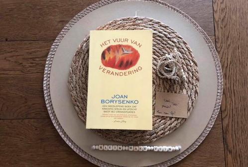 Het vuur van verandering - Joan Borysenko, Boeken, Esoterie en Spiritualiteit, Nieuw, Ophalen of Verzenden