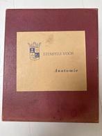 Anatomie Stempel - Gehoororgaan, Ophalen