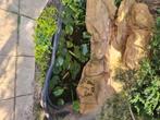 Gratis vijver bak waterplanten  zelf met onze  hulp uitgrave, Ophalen, Gebruikt