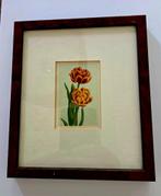 lithografie uit "de Bloemenvelden"anno 1918, Antiek en Kunst, Ophalen of Verzenden