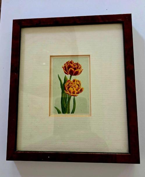 lithografie uit "de Bloemenvelden"anno 1918, Antiek en Kunst, Kunst | Litho's en Zeefdrukken, Ophalen of Verzenden