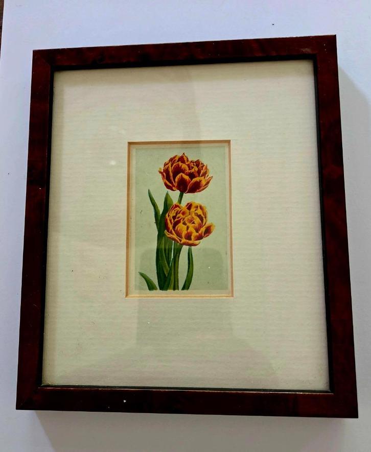 lithografie uit "de Bloemenvelden"anno 1918, Antiek en Kunst, Kunst | Litho's en Zeefdrukken, Ophalen of Verzenden