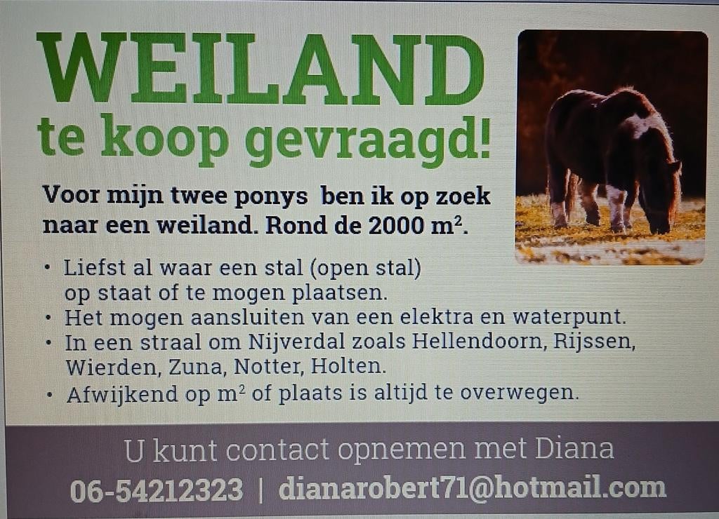 Weiland te koop gevraagd, Dieren en Toebehoren, Stalling en Weidegang, 2 of 3 paarden of pony's