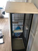 Vogelkooi ferplast brio mini, Dieren en Toebehoren, Ophalen, Gebruikt, Metaal, Vogelkooi