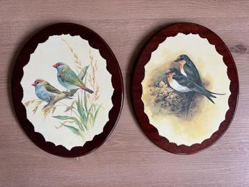 2 PRACHTIGE VOGEL PRINTS VAN DEIDRE HUNT OP HARD HOUT beschikbaar voor biedingen
