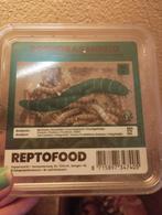 Morio wormen, super wormen, Ophalen, Kippenhok of Kippenren