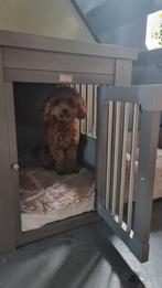 Hondenhok grijs, Dieren en Toebehoren, Ophalen, Minder dan 65 cm, Zo goed als nieuw, Minder dan 75 cm