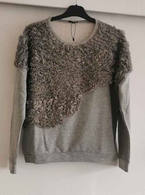 Ann Christine sweater met ruches mt. M, Kleding | Dames, Truien en Vesten, Nieuw, Maat 38/40 (M), Grijs, Verzenden