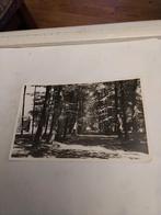 ERMELO  HUIZE VELDWIJK 1951, Verzamelen, Ansichtkaarten | Nederland, Ophalen of Verzenden, 1940 tot 1960, Gelderland