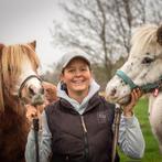 Volpension Paddockstalling voor Shetlander of mini, Dieren en Toebehoren, Stalling en Weidegang, Weidegang